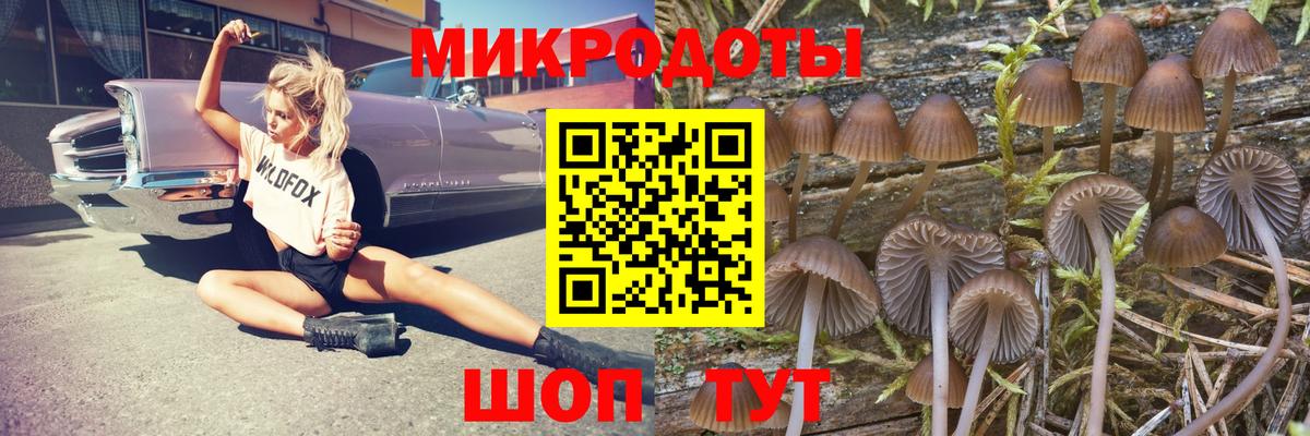 Псилоцибиновые грибы мухоморы  Вход с VPN  Богородицк 